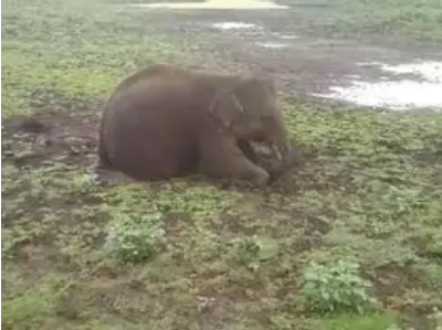 Screen Shot 2020-07-19 at 9.50.07 AM